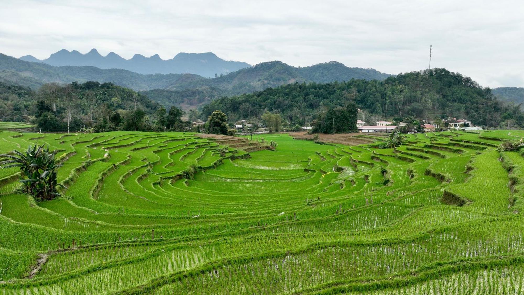 Apartamento Thavill Retreat Hagiang Ha Giang Exterior foto